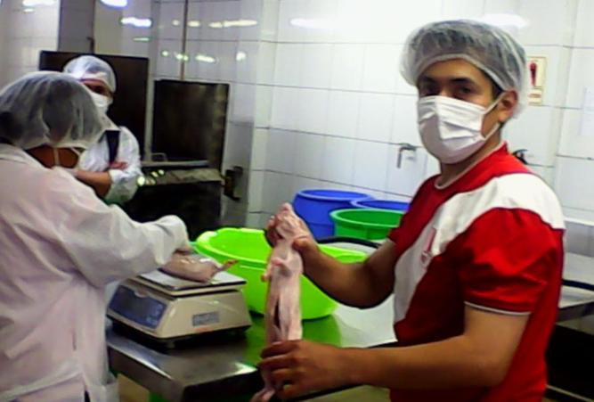 preparación de los cuyes